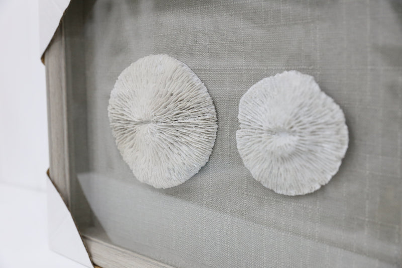Grey Sea Shell Wood Framed Art