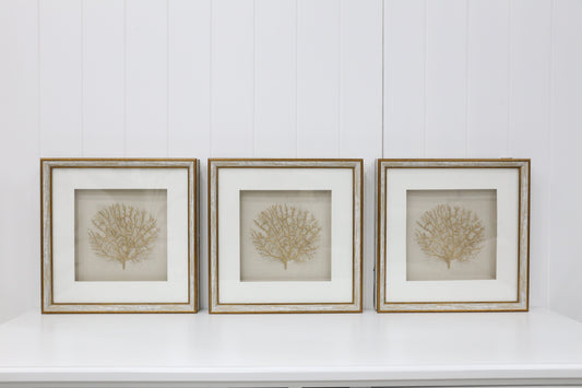 White Wash/Gold Wooden Frame - 3 Piece Set