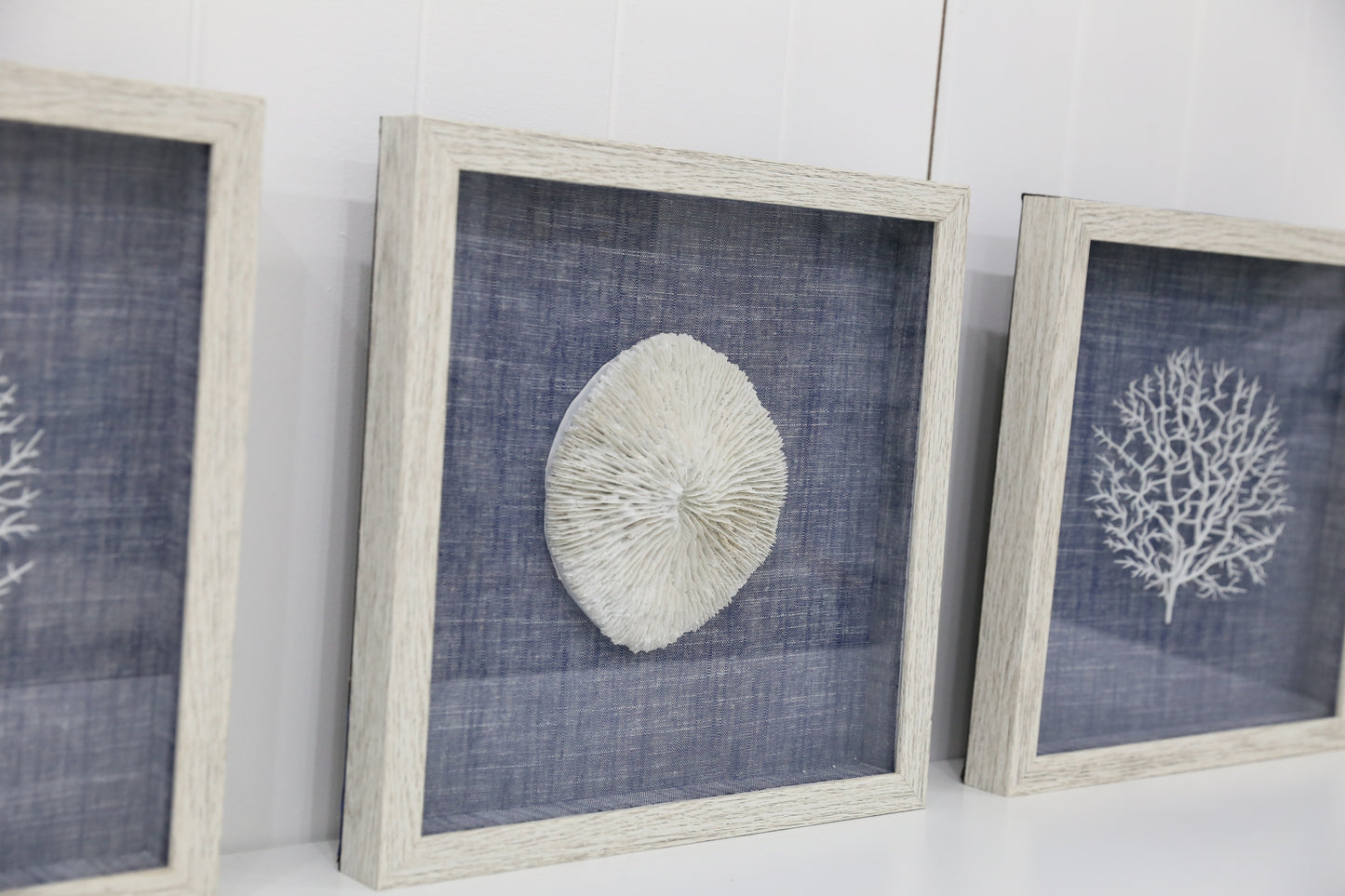 Sea Coral Art - 3 piece