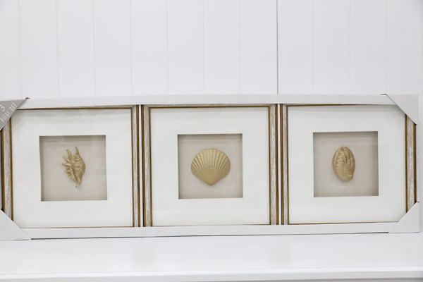 Golden Coral Art - 3 Piece Set