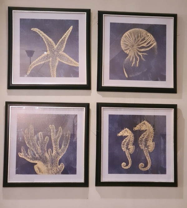 (Sale)Seashore Coast Art frames